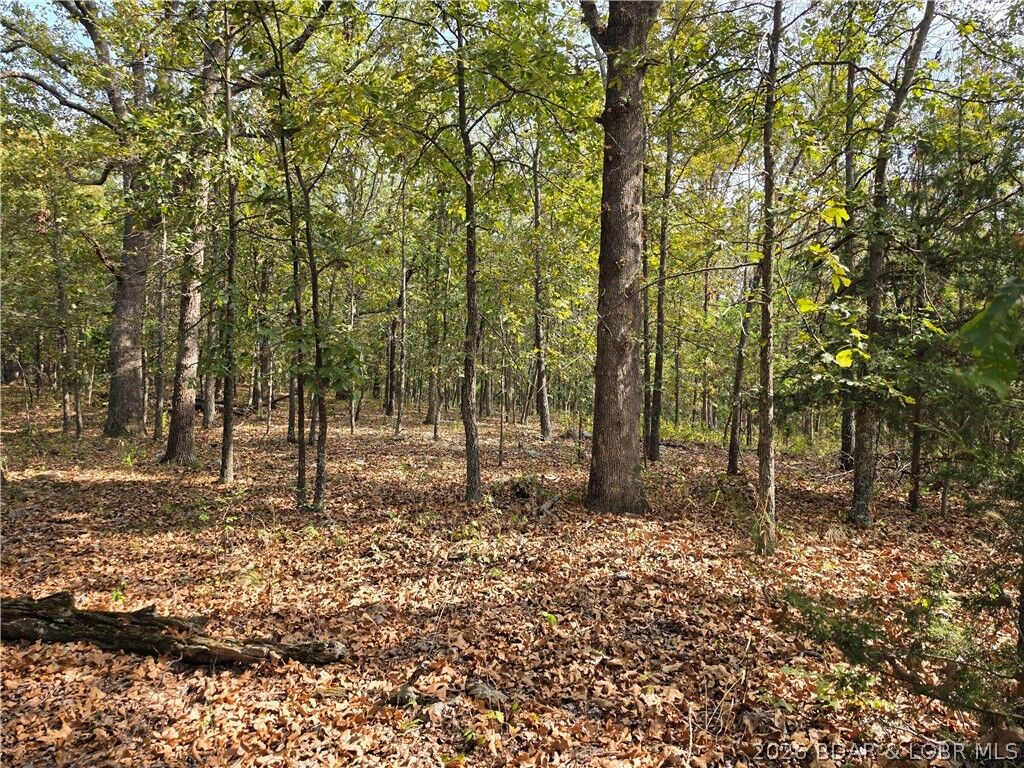 Property Photo:  Forbes Road 2556 & 2557  MO 65326 