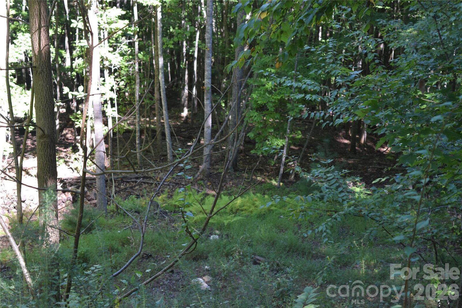 Property Photo: 1410 N Double Knob Loop NC 28704