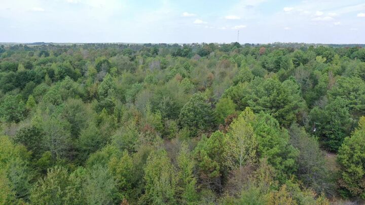 Property Photo:  1183 Sarber Road  TX 75657 