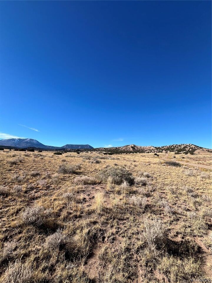 Property Photo:  County Rd 541, Lot 95  CO 81040 