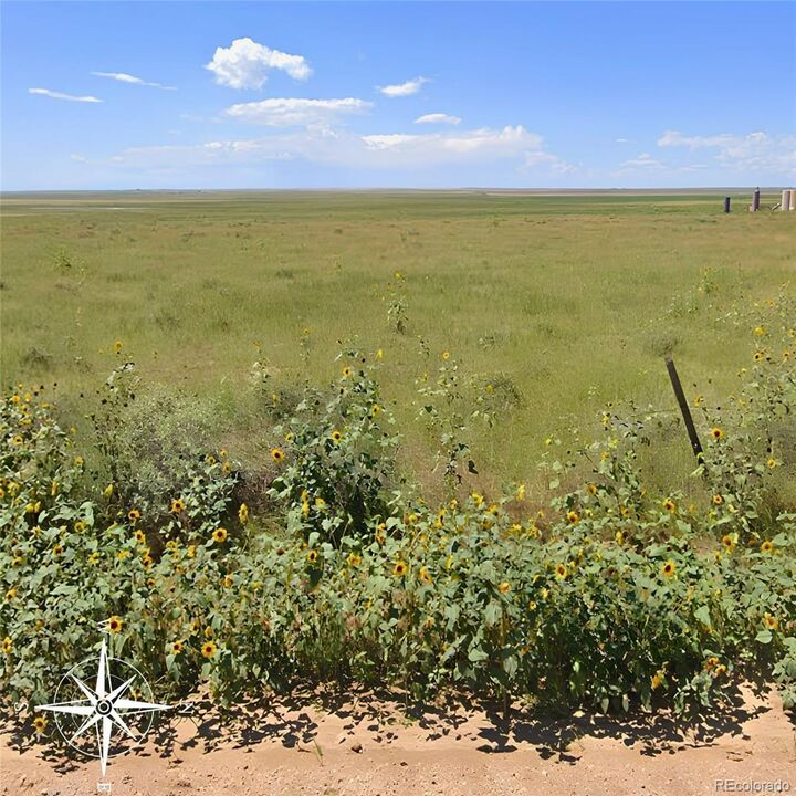 Property Photo: Weld County Road 93 CO 80611