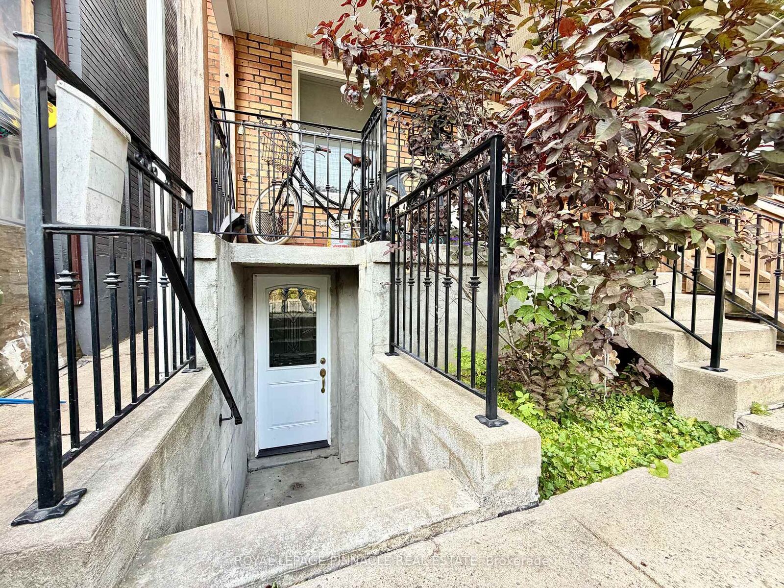 Property Photo:  136 Campbell Avenue Lower  ON M6P 3V2 