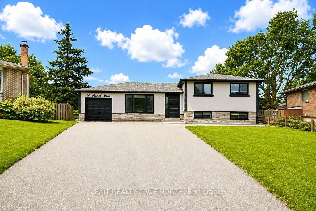 Property Photo:  66 Peacock Lane Bsmt  ON L4N 3R9 