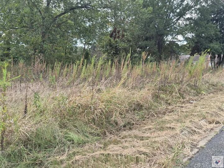 Property Photo:  Tbd S Front  TX 75570 