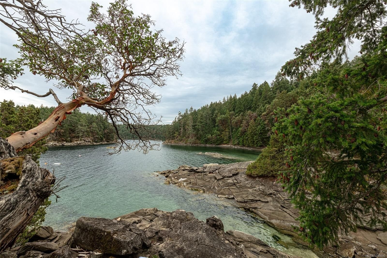 Property Photo: Lot 8 Ruxton Island BC V0V 0V0