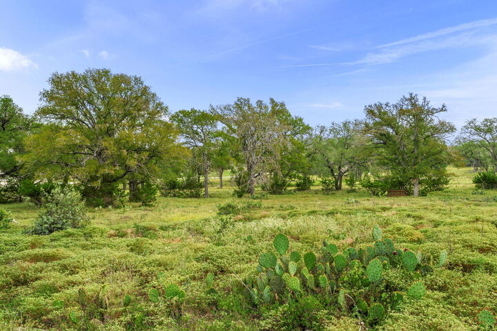 Property Photo:  322 Axis Circle  TX 78624 