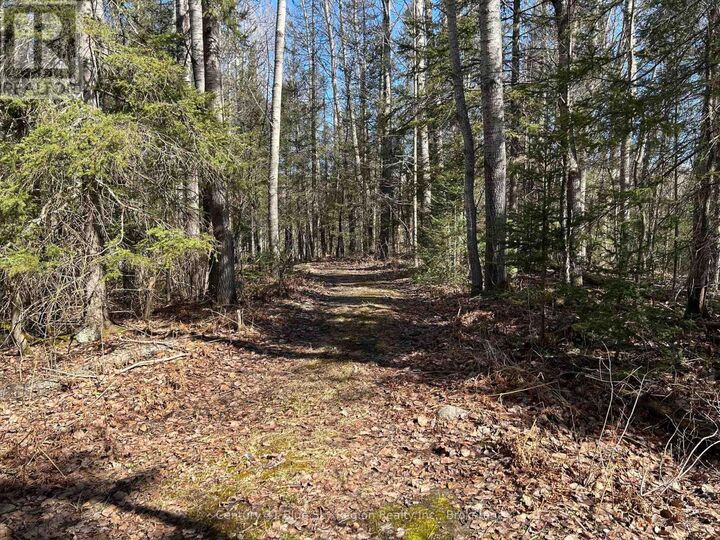 Property Photo:  Highway 534  ON K0J 0B3 
