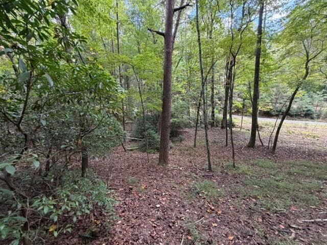 Property Photo:  133 Seneca Drive  GA 30540 