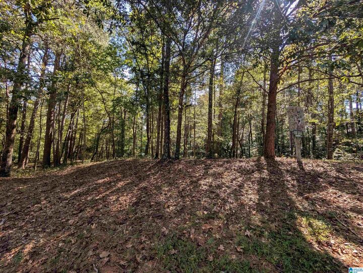 Property Photo:  4809 Laurel Trace 7  AL 36207 