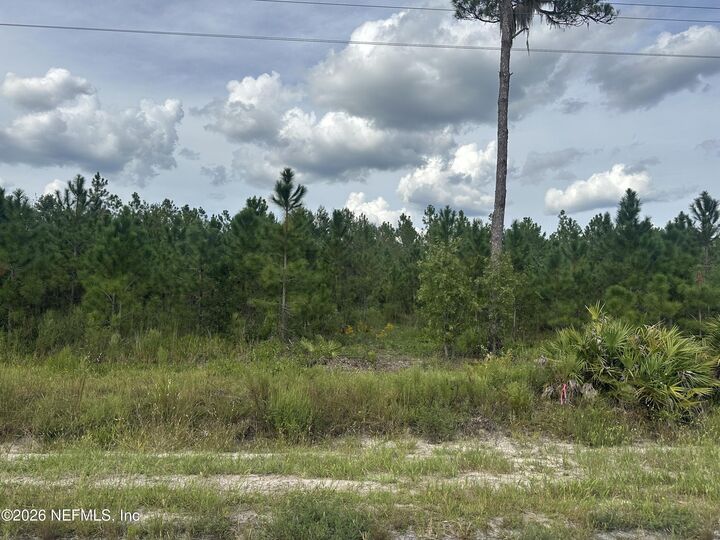 Property Photo: Lot 17 E Hillsborough Avenue FL 32140