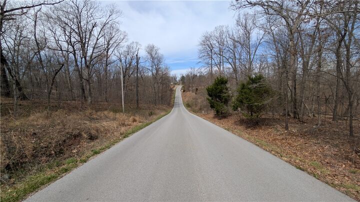 Property Photo:  Lot 17 Kirkpatrick Lane  AR 72715 