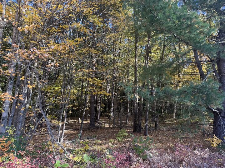 Property Photo: Lot 6 Northwest Road MA 01085