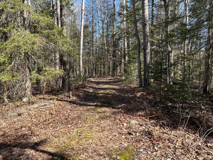 Property Photo:  Con 9 Pt Lot 17 Highway 534 N/A  ON K0J 0B3 