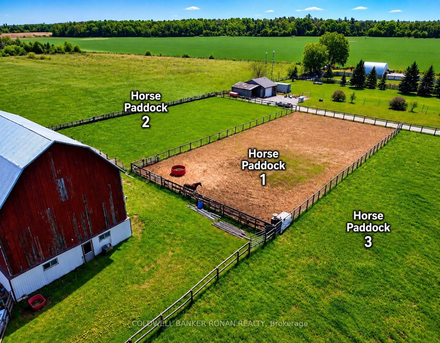 Photo de la propriété: 6703 Pine Plains Road E ON L0M 1J0