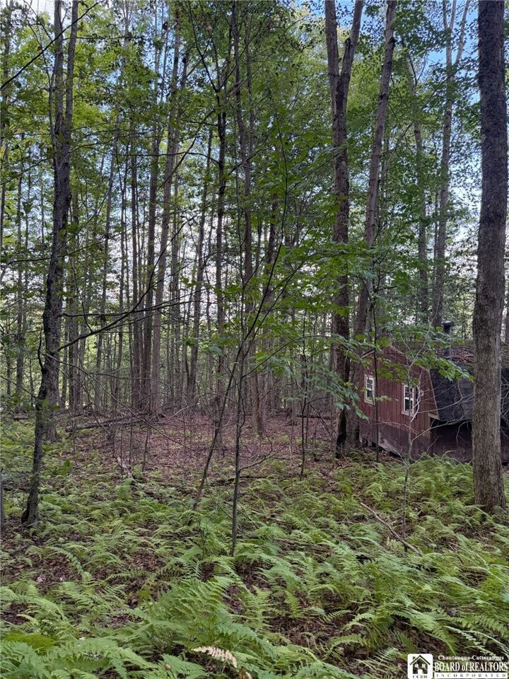 Property Photo:  47 Studer Road  NY 14708 