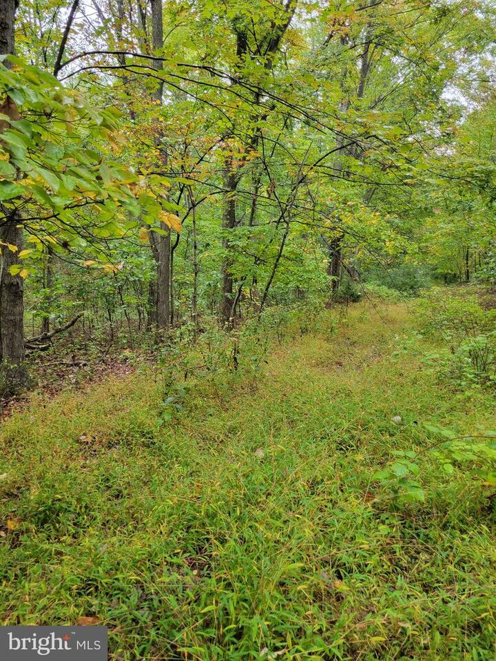 Property Photo:  Hawks Way  WV 26714 