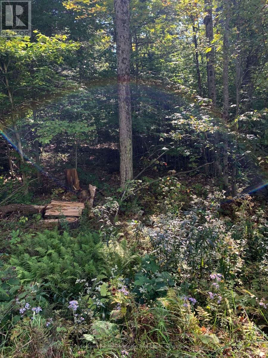 Property Photo: 00 Ahmic Lake Road ON P0A 1P0