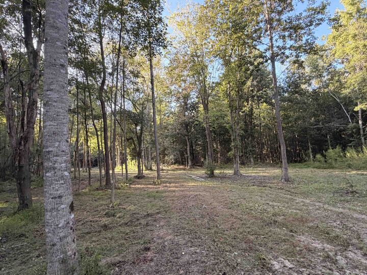 Property Photo:  0 Pleasant View Church Rd.  SC 29581 
