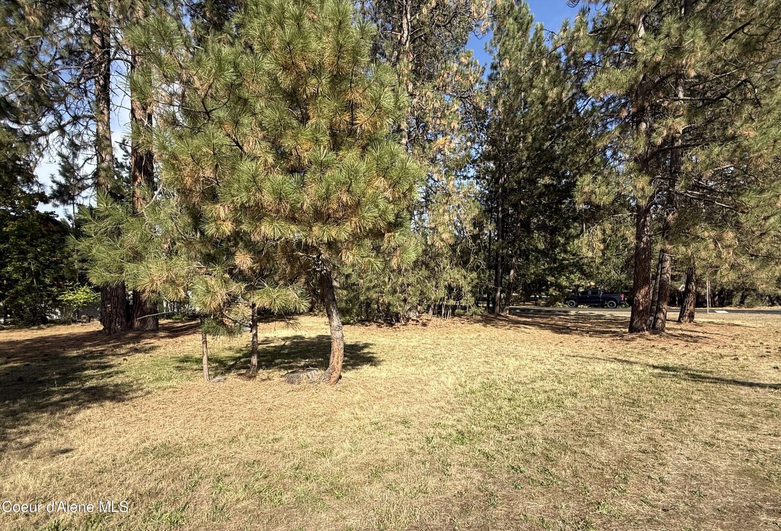 Property Photo: Nka E Lunceford Ln ID 83815