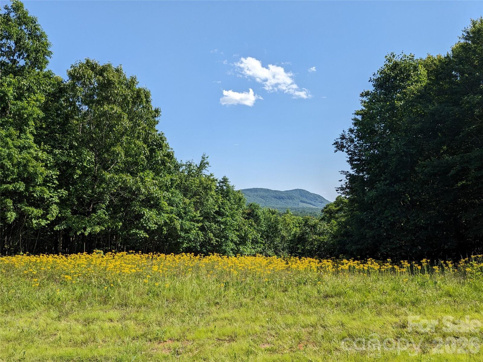 Property Photo:  00 Stratford Drive #78  NC 28018 
