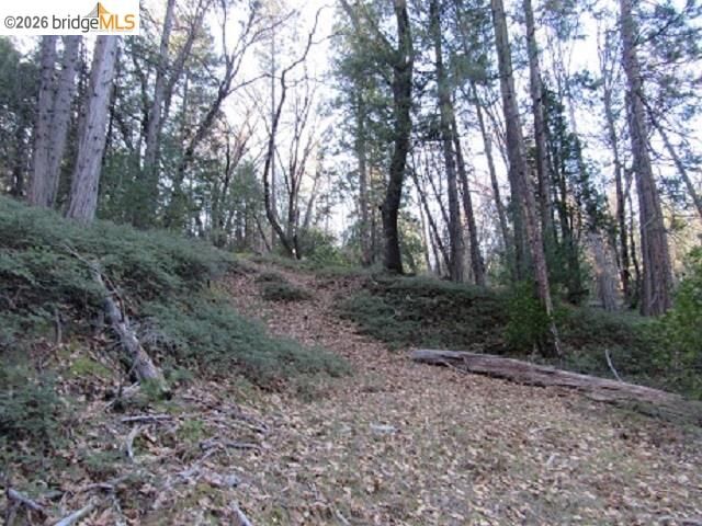 Property Photo:  0000 Star Ridge Rd.  CA 95383 