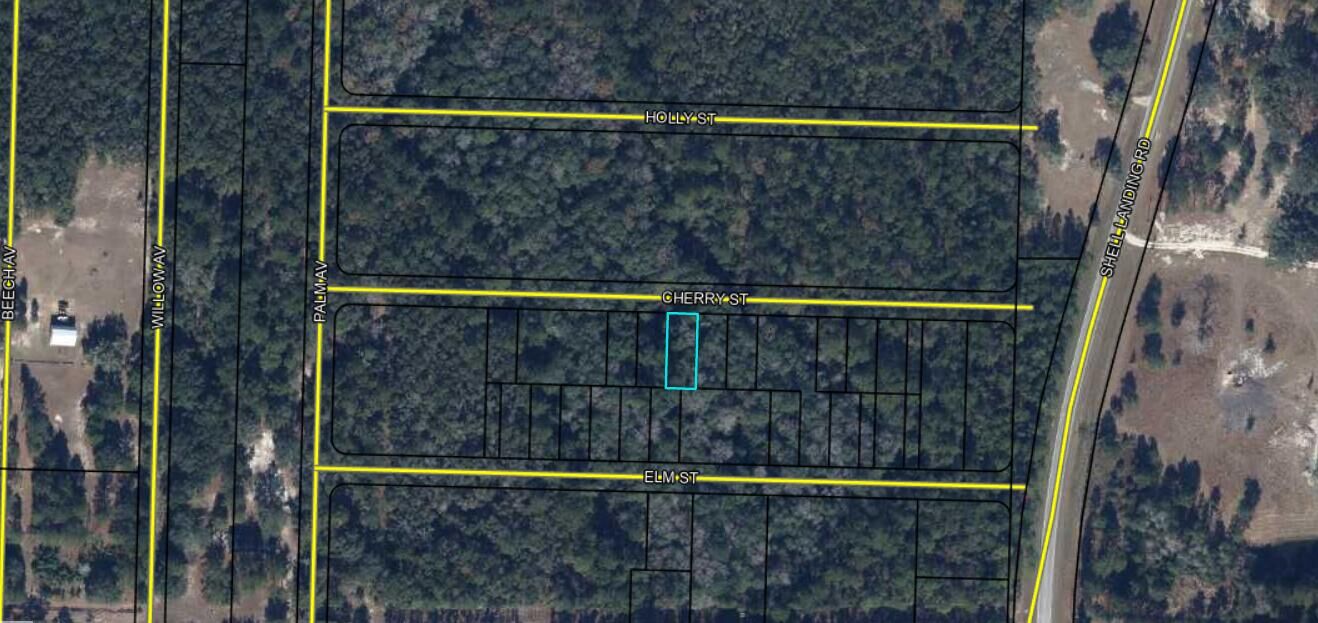 Property Photo:  Lot 23/24 Cherry Street  FL 32462 