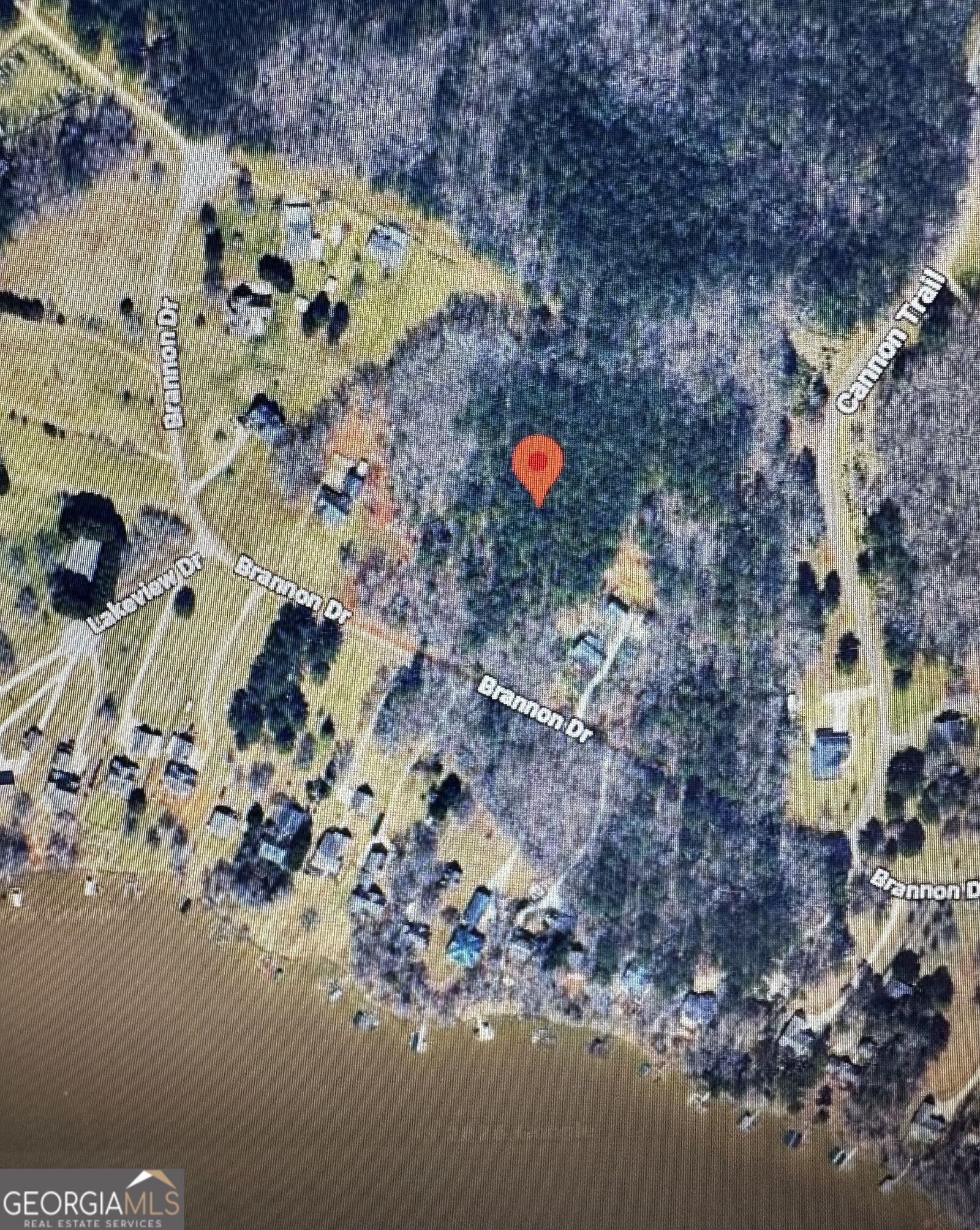Property Photo: 1141 Brannon Drive GA 30642