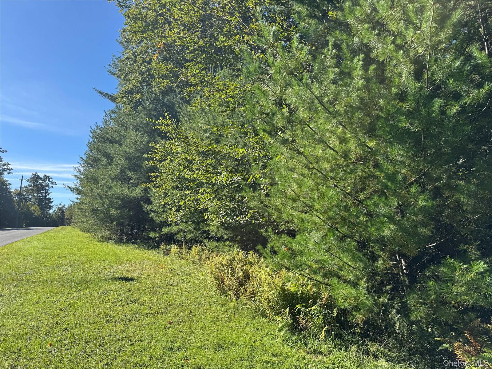 Property Photo:  Lot 1 Chapin Trail  NY 12720 