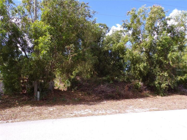 Property Photo:  12253 Green Gulf Boulevard  FL 33955 
