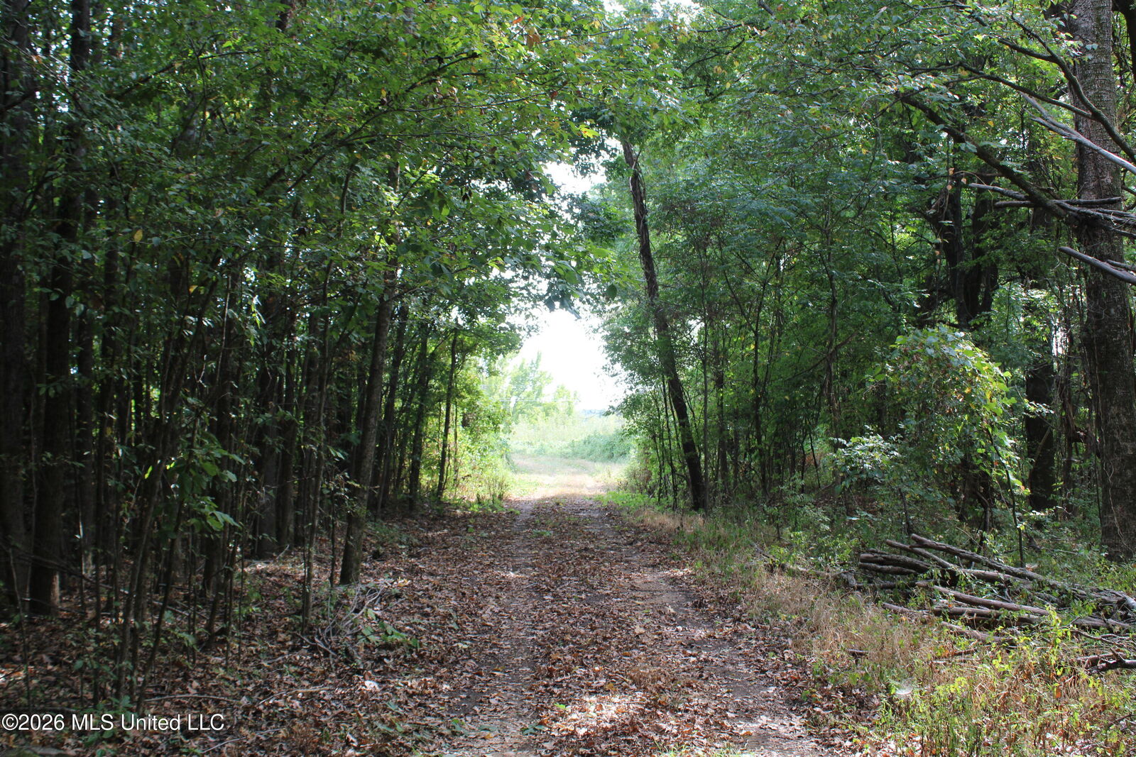 Property Photo: 3 Horn Lake Road MS 38651