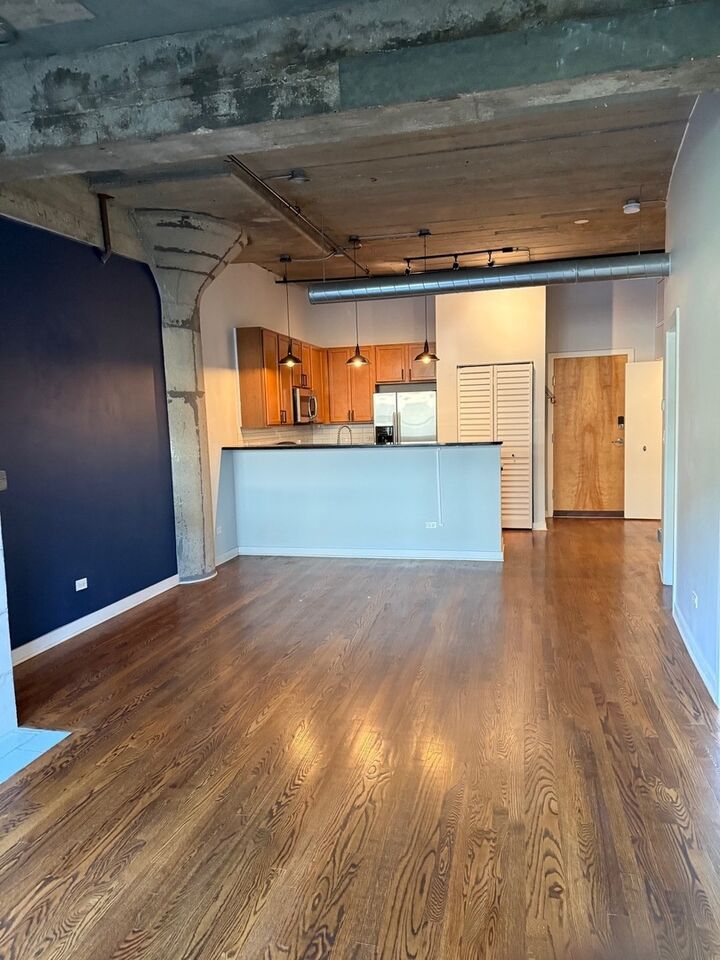Property Photo:  1110 W 15th Street 316  IL 60608 
