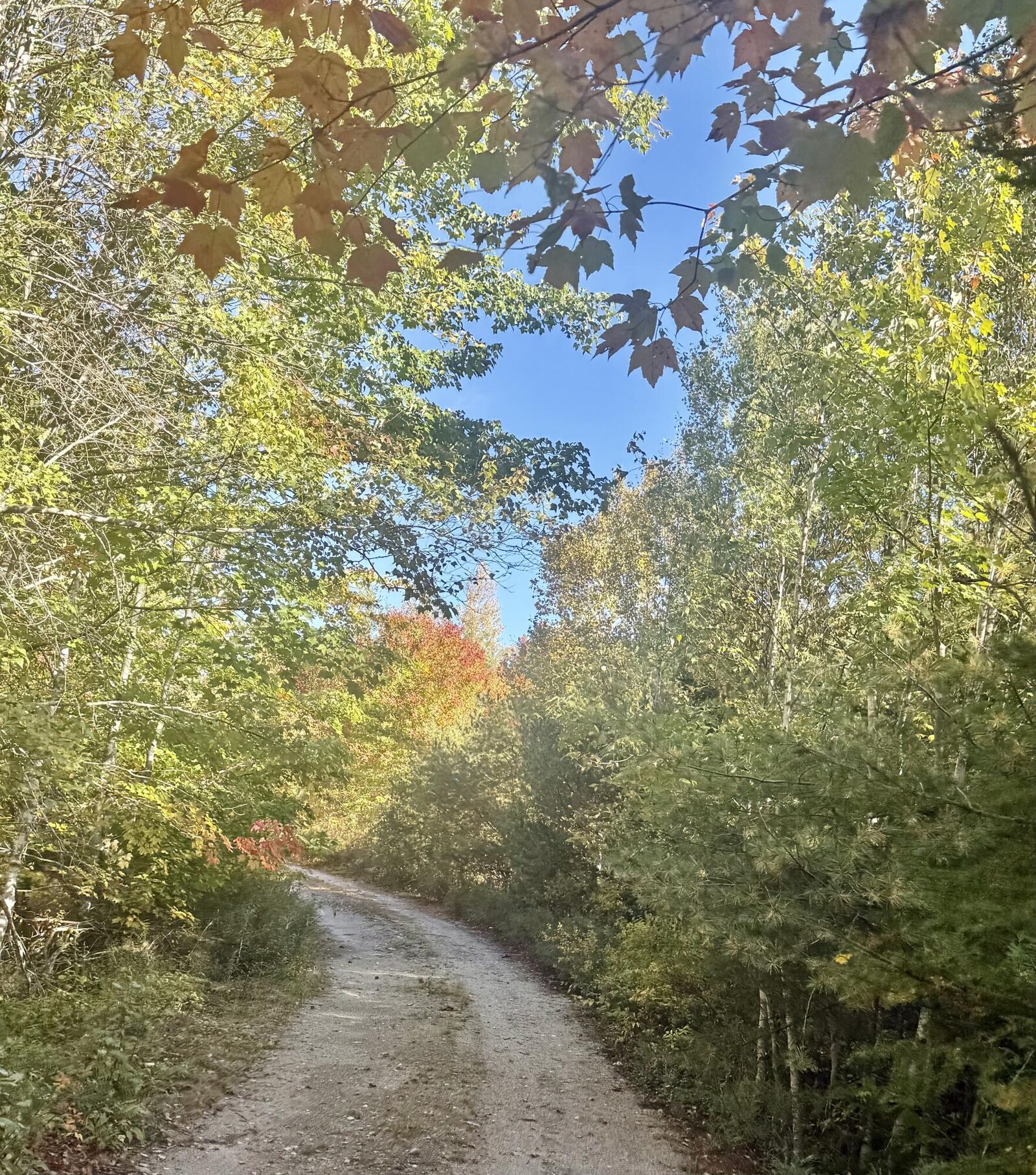 Property Photo: Lot 4 Number 7 Road ME 04680