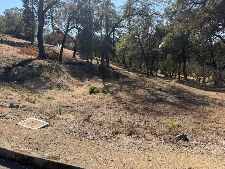 Property Photo: 14650 Curry Court CA 95602