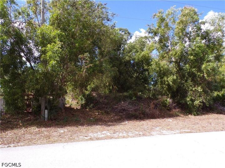 Property Photo:  12247 Green Gulf Boulevard  FL 33955 
