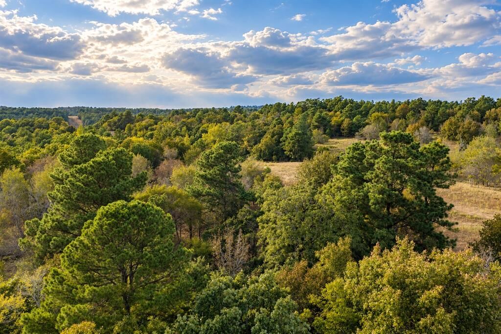 Property Photo: 00 Off Of County Road 448 TX 75803