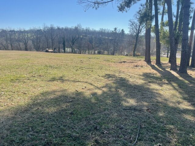Property Photo:  176 NE Healing Springs Street  AR 72713 
