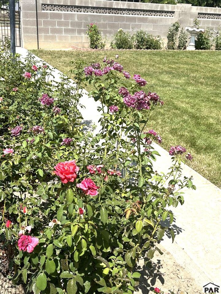 Property Photo:  1518 Beech St  CO 81001 