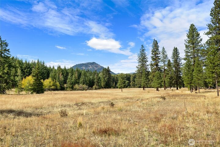 Property Photo:  27  Domerie Park Loop  WA 98922 