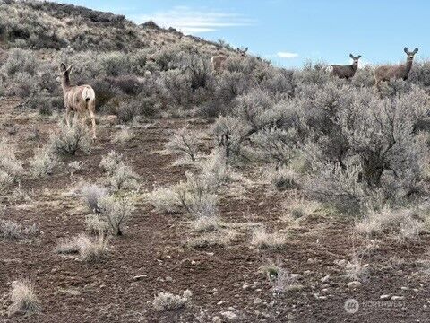 Property Photo:  0  Stirrup Pl  WA 98823 