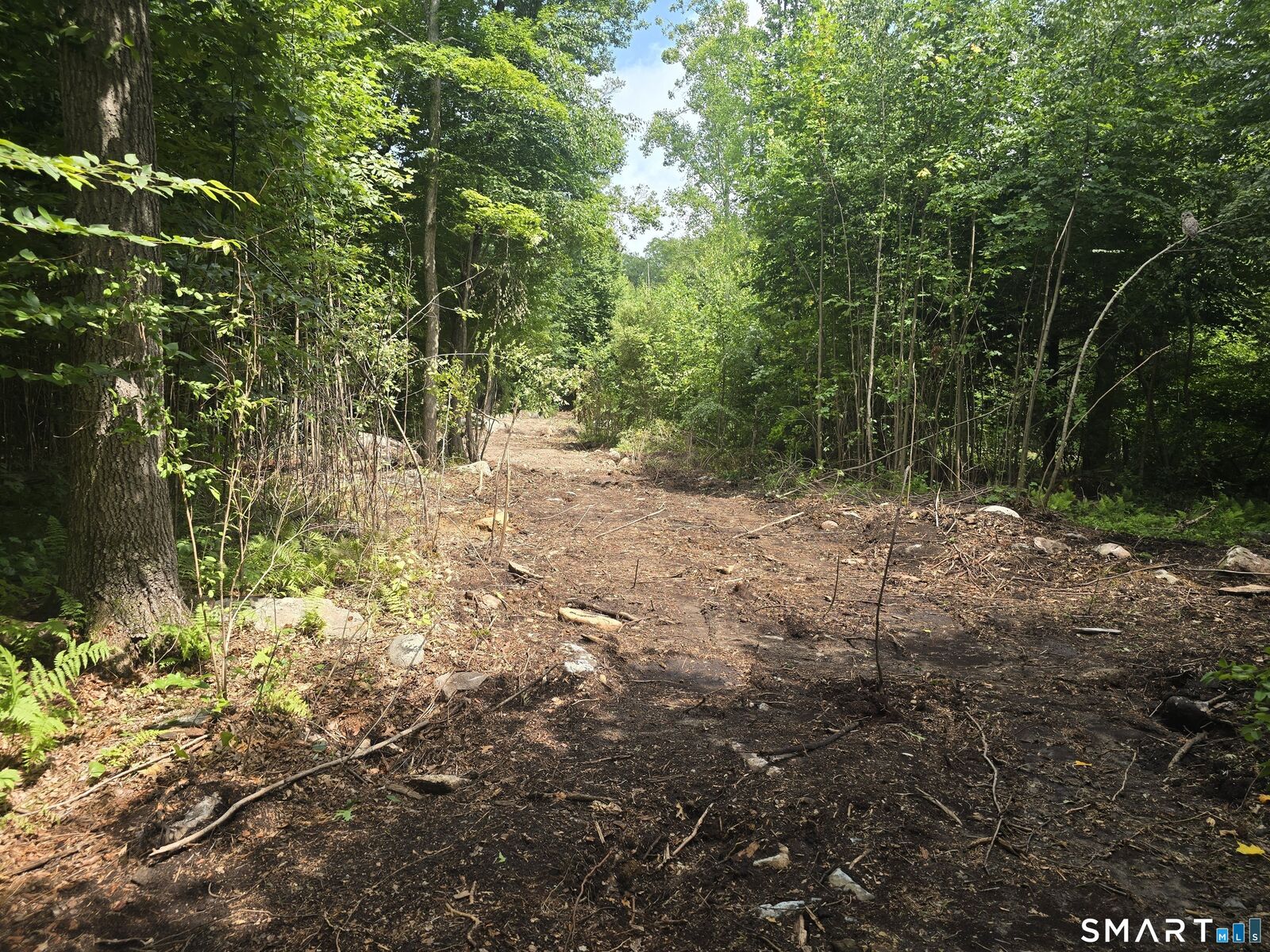 Property Photo:  0 Al Harvey Road  CT 06378 