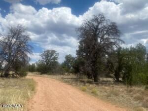 Property Photo: 5785 N Muytala Lot D AZ 86046