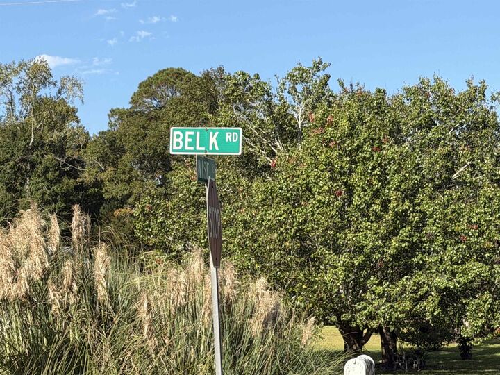 Property Photo:  Tract 1 Wise Rd.  SC 29526 