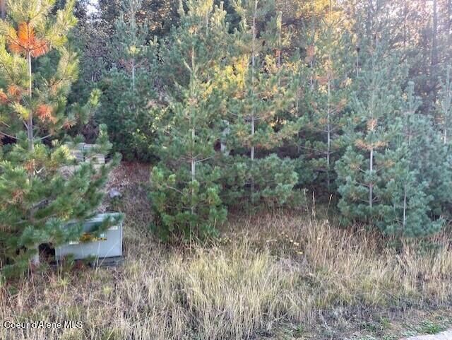 Property Photo:  277 Diamond Hitch Dr  ID 83837 
