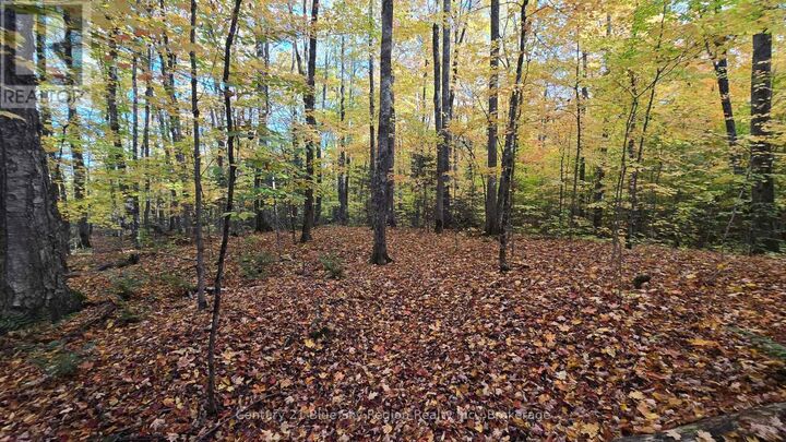 Property Photo:  Wolfe Lake Road  ON P0H 1Z0 