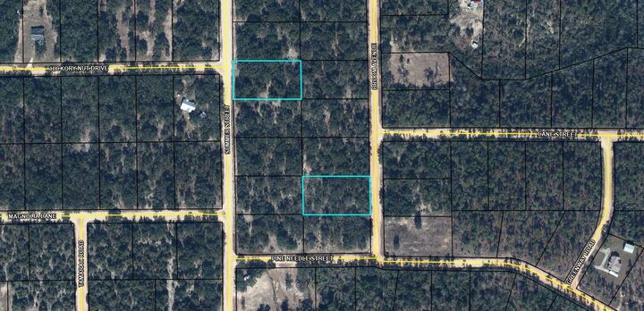 Property Photo:  Lot 9 /15 Broom Avenue  FL 32448 