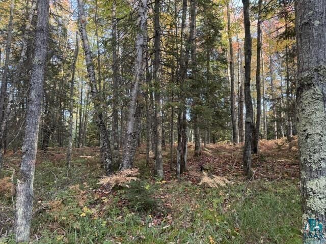 Property Photo:  Xxx Brule River Rd  WI 54820 