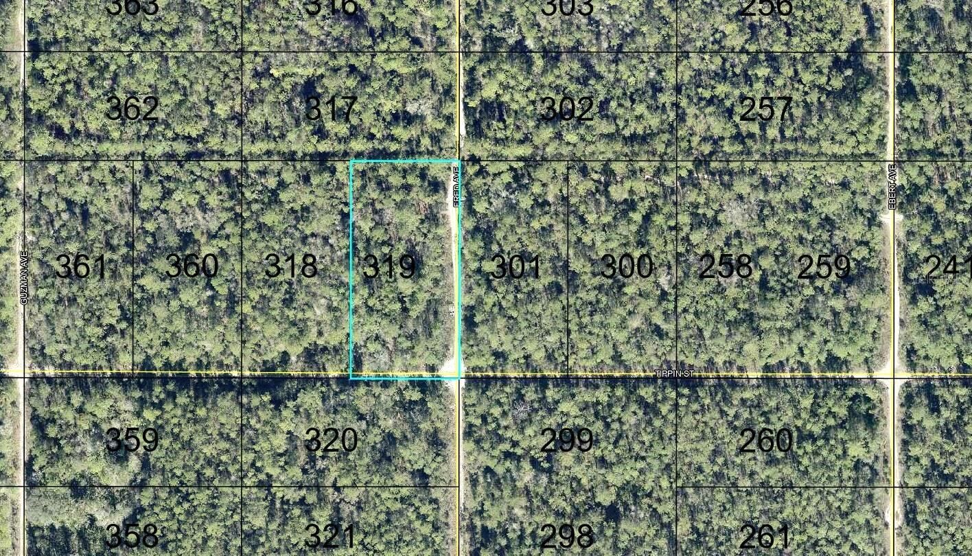 Property Photo:  319 Tippin Street  FL 32145 
