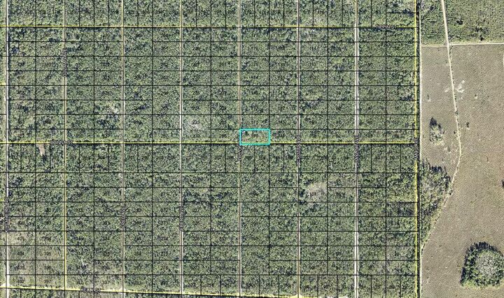 Property Photo:  170 Dilllion Avenue  FL 32145 