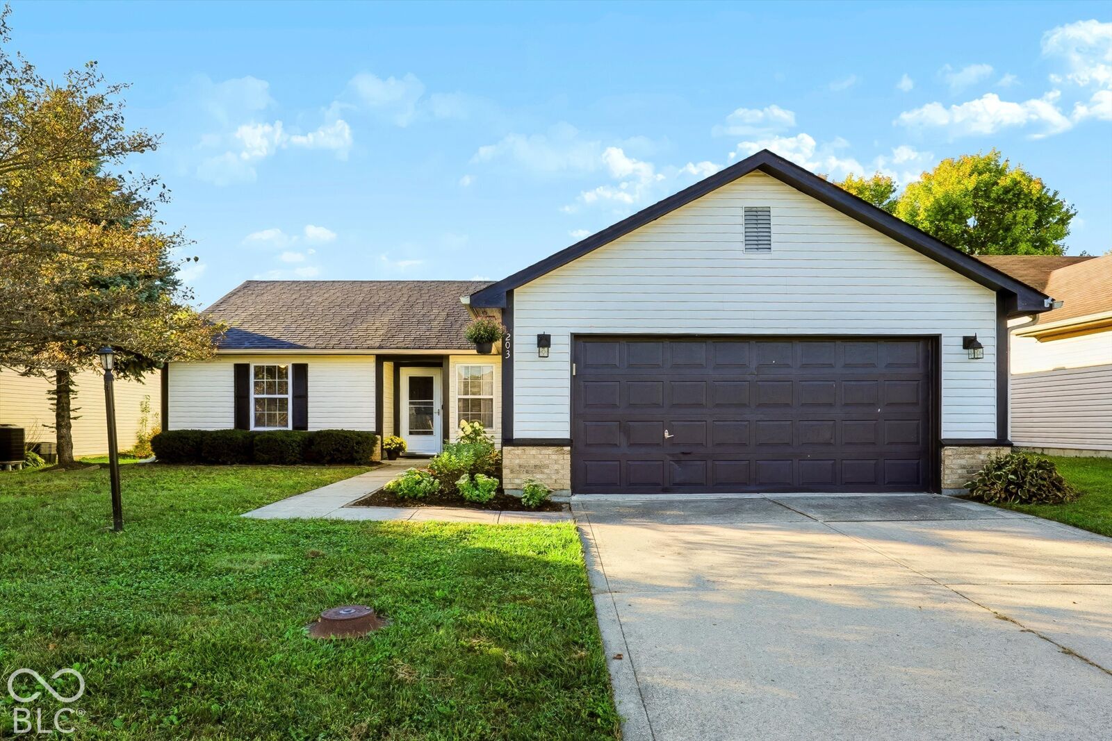 Property Photo: 203 E Pine Ridge Drive IN 46074