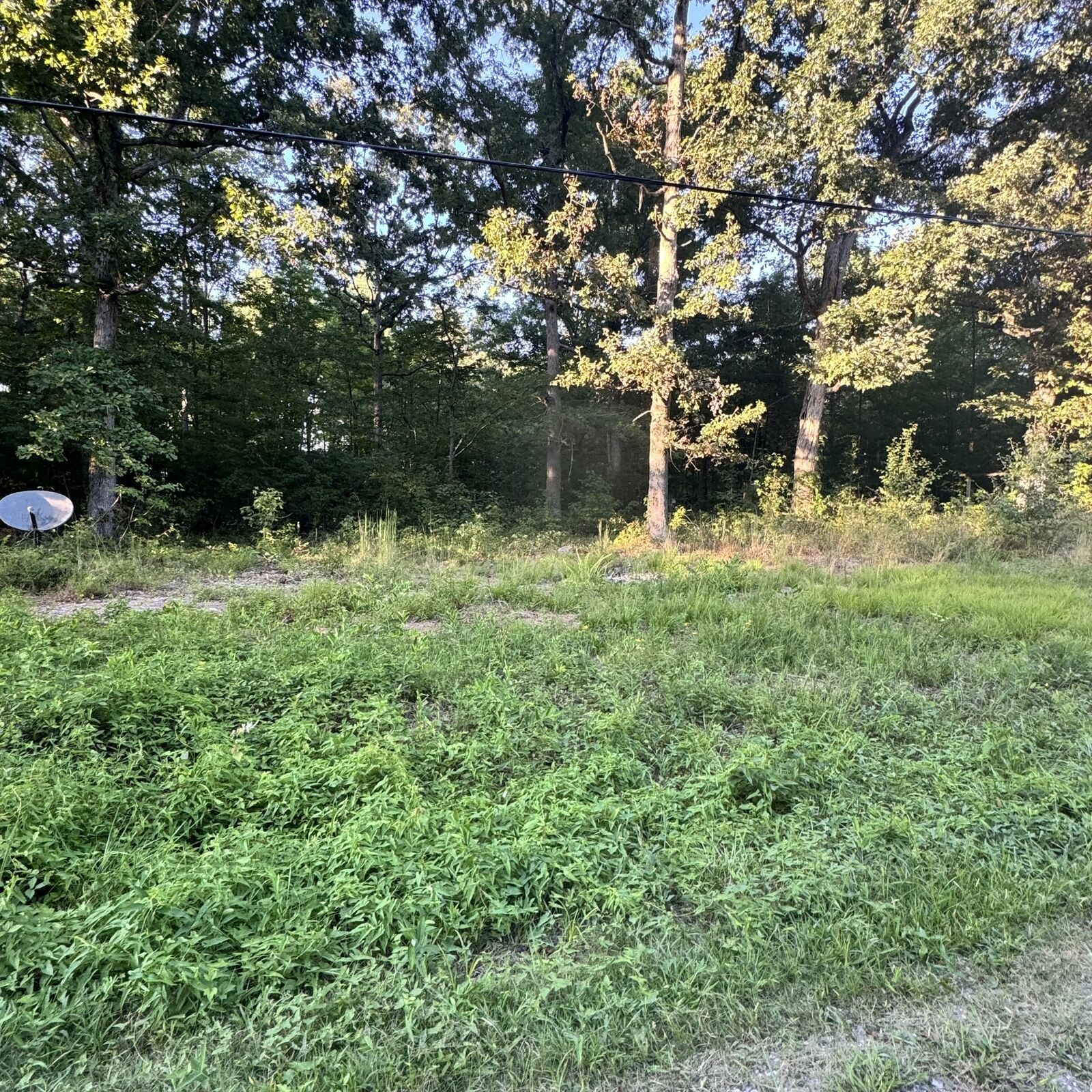 Property Photo:  0 Glade Trl  TN 37018 